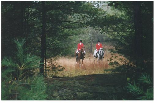 Masters of Foxhounds - NVH